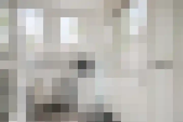 Strobbelhoekstraat 31 Ovezande thumbnail 11