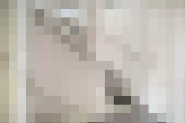 Strobbelhoekstraat 31 Ovezande thumbnail 20