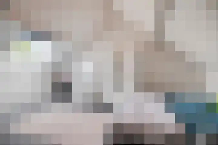 Strobbelhoekstraat 31 Ovezande thumbnail 23