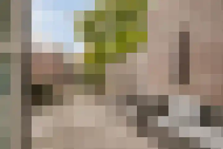 Strobbelhoekstraat 31 Ovezande thumbnail 24