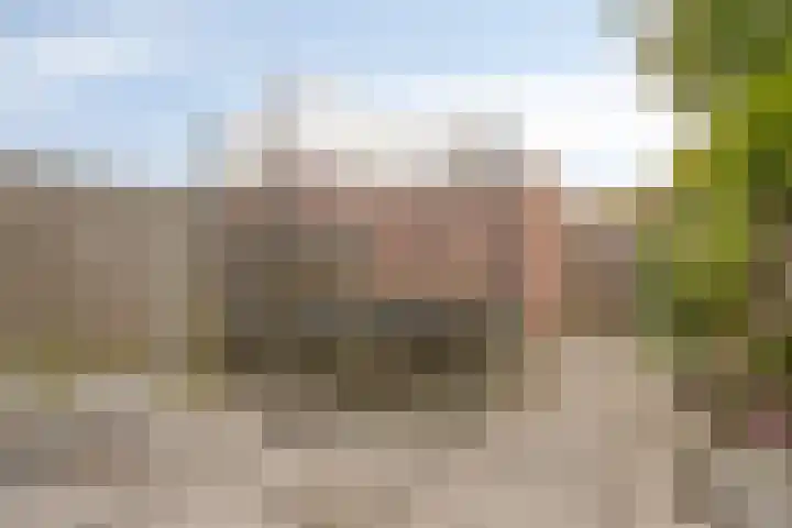 Strobbelhoekstraat 31 Ovezande thumbnail 26