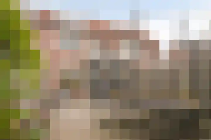 Strobbelhoekstraat 31 Ovezande thumbnail 27