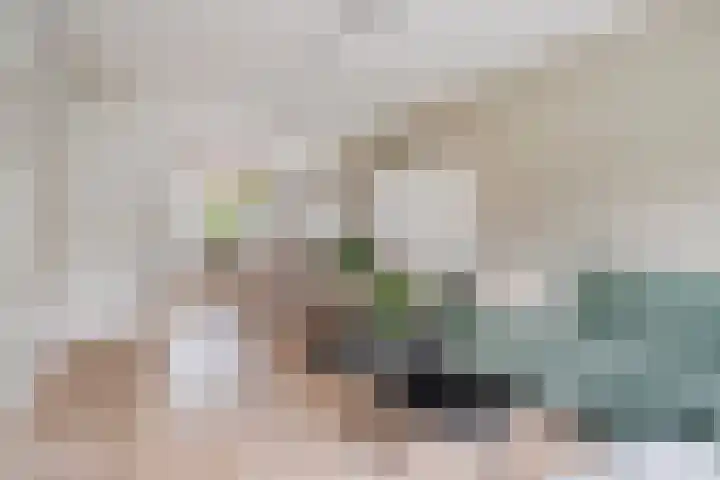Strobbelhoekstraat 31 Ovezande thumbnail 4