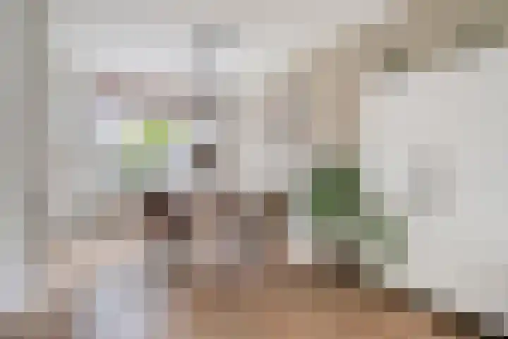Strobbelhoekstraat 31 Ovezande thumbnail 5