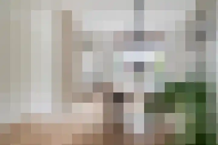 Strobbelhoekstraat 31 Ovezande thumbnail 6
