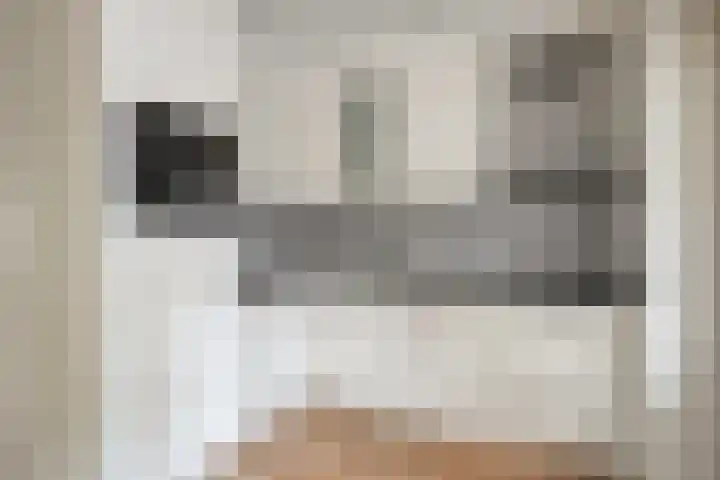 Strobbelhoekstraat 31 Ovezande thumbnail 8