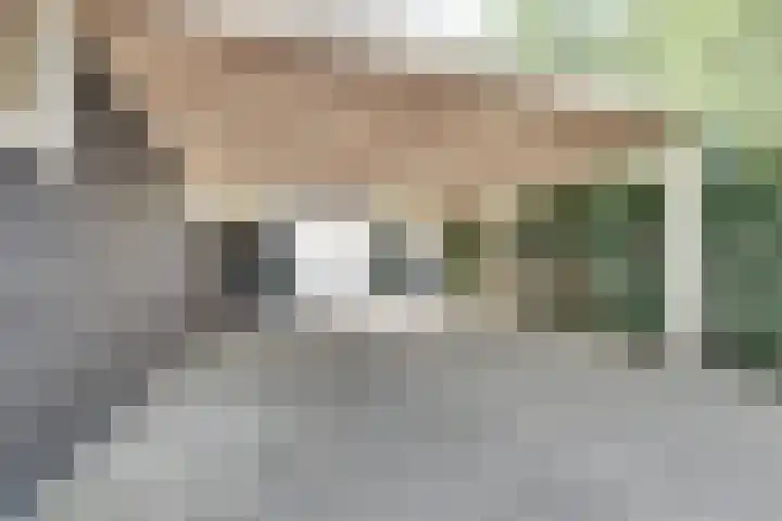 Strobbelhoekstraat 38 Ovezande thumbnail 10