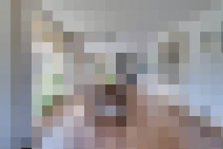 Strobbelhoekstraat 38 Ovezande thumbnail 33