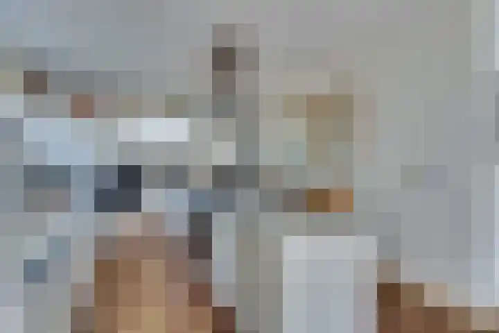Strobbelhoekstraat 38 Ovezande thumbnail 36