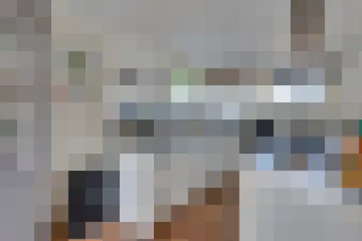 Strobbelhoekstraat 38 Ovezande thumbnail 37