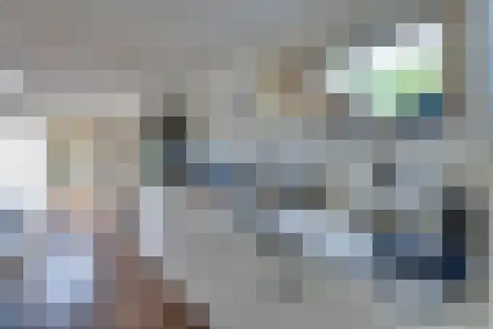 Strobbelhoekstraat 38 Ovezande thumbnail 38