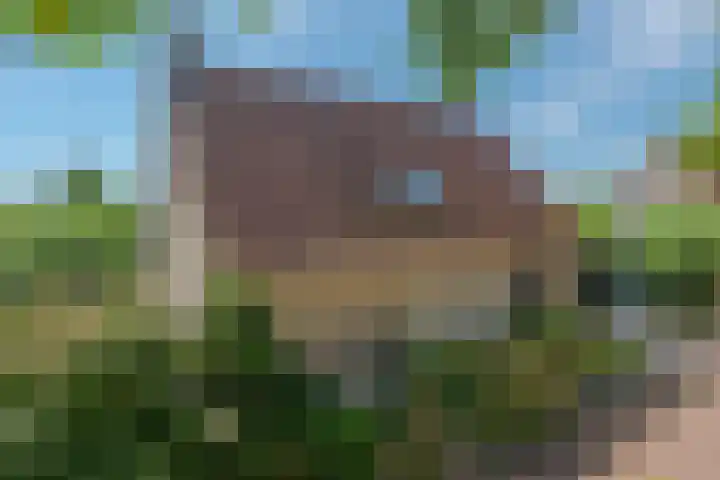 Strobbelhoekstraat 38 Ovezande thumbnail 4