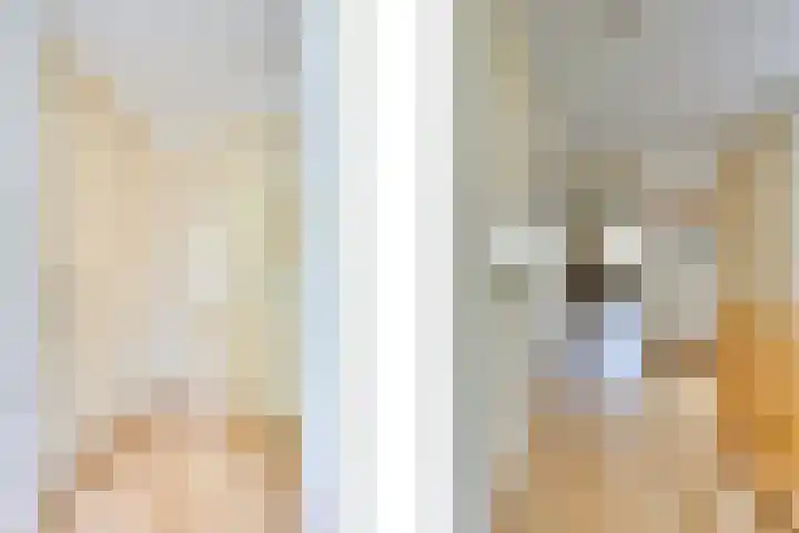 Strobbelhoekstraat 38 Ovezande thumbnail 49