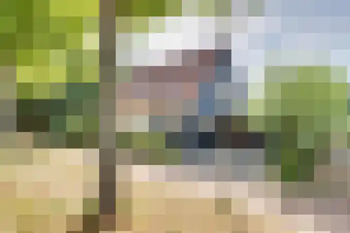 Strobbelhoekstraat 38 Ovezande thumbnail 5