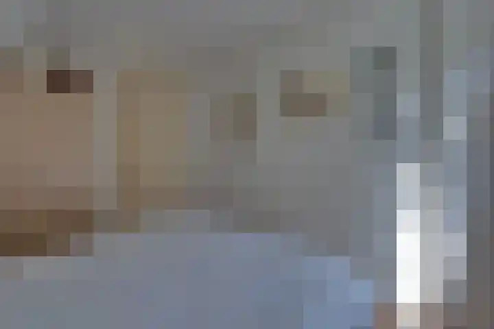 Strobbelhoekstraat 38 Ovezande thumbnail 53