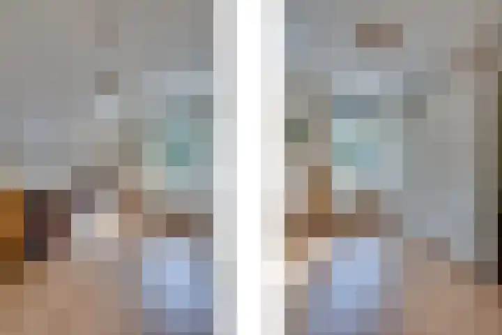 Strobbelhoekstraat 38 Ovezande thumbnail 55