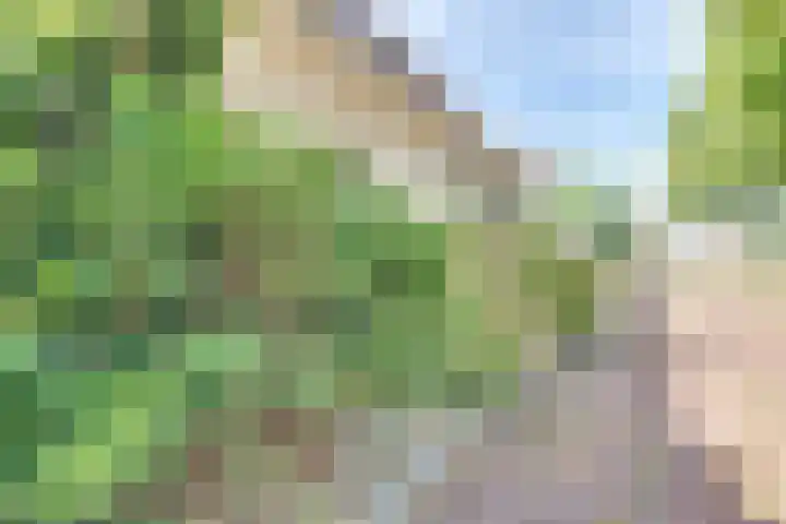 Strobbelhoekstraat 38 Ovezande thumbnail 6