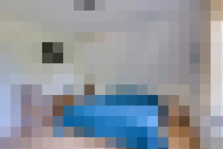 Strobbelhoekstraat 38 Ovezande thumbnail 64