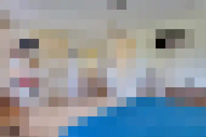 Strobbelhoekstraat 38 Ovezande thumbnail 66