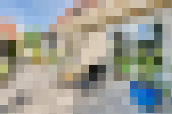 Strobbelhoekstraat 38 Ovezande thumbnail 67