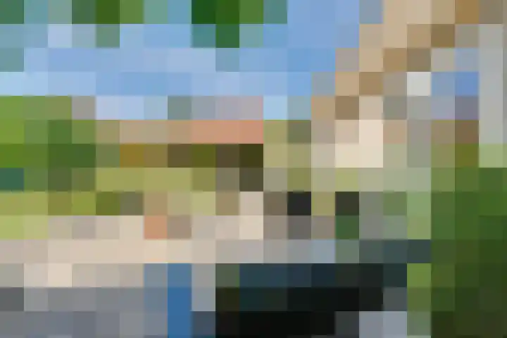 Strobbelhoekstraat 38 Ovezande thumbnail 68