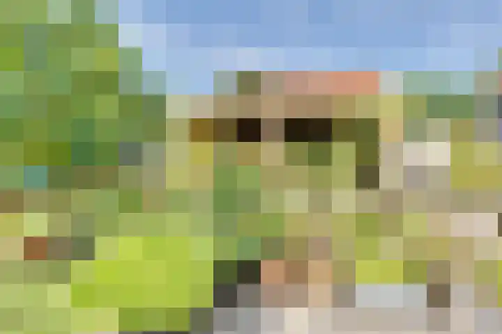 Strobbelhoekstraat 38 Ovezande thumbnail 69
