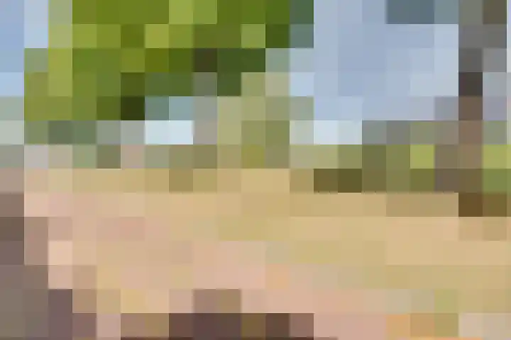 Strobbelhoekstraat 38 Ovezande thumbnail 7