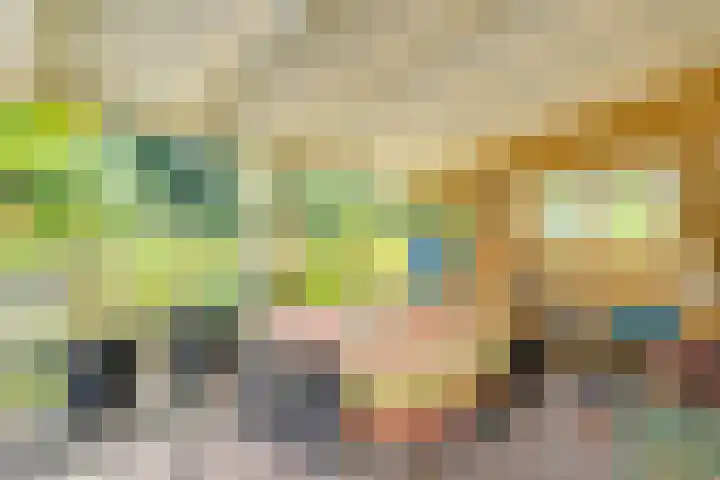 Strobbelhoekstraat 38 Ovezande thumbnail 72