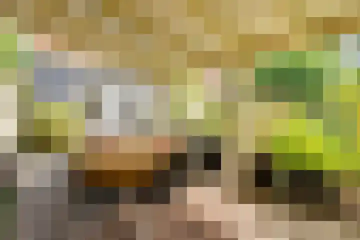 Strobbelhoekstraat 38 Ovezande thumbnail 76