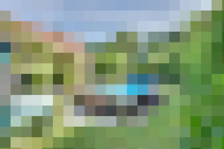 Strobbelhoekstraat 38 Ovezande thumbnail 78