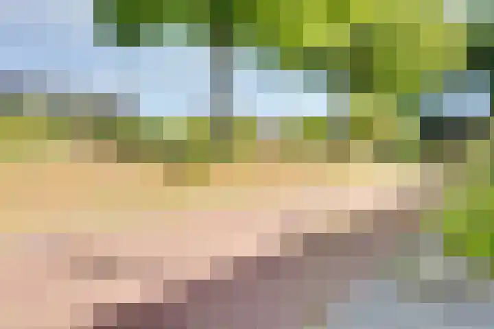Strobbelhoekstraat 38 Ovezande thumbnail 8