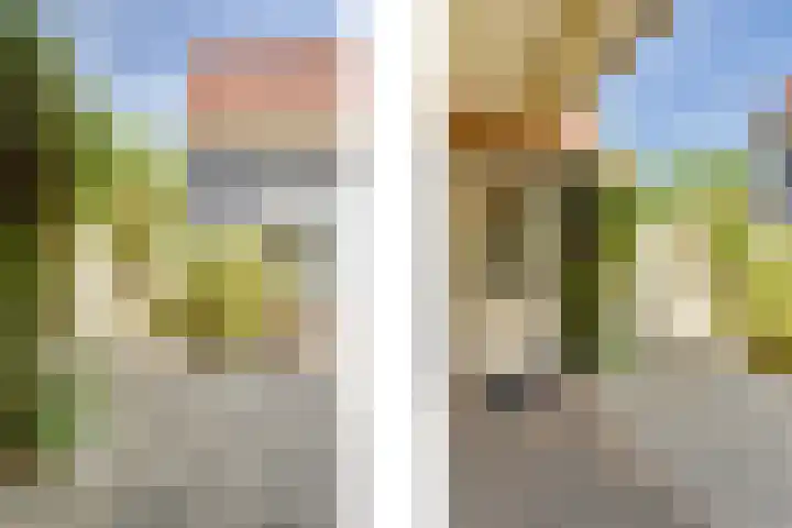 Strobbelhoekstraat 38 Ovezande thumbnail 85