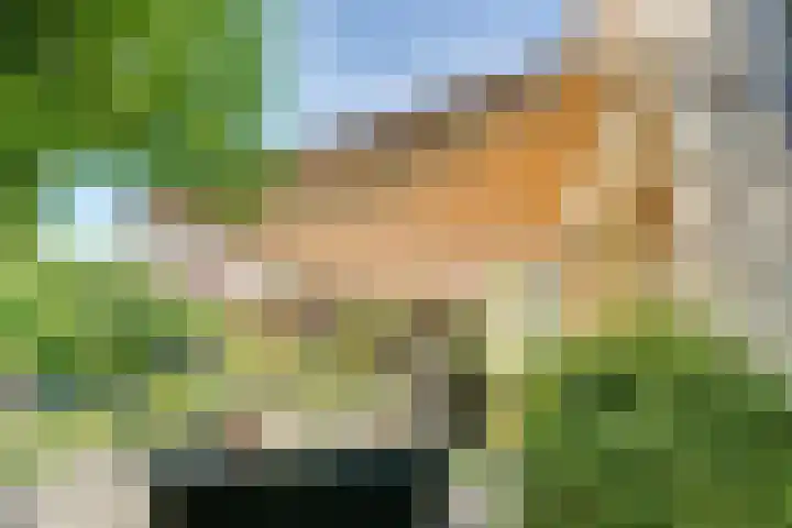 Strobbelhoekstraat 38 Ovezande thumbnail 87