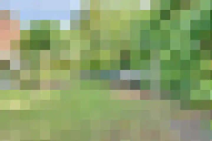 Strobbelhoekstraat 38 Ovezande thumbnail 88