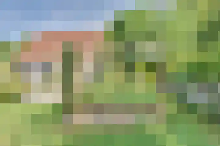 Strobbelhoekstraat 38 Ovezande thumbnail 89