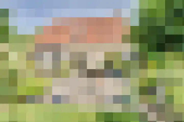 Strobbelhoekstraat 38 Ovezande thumbnail 90
