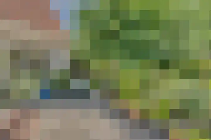 Strobbelhoekstraat 38 Ovezande thumbnail 91