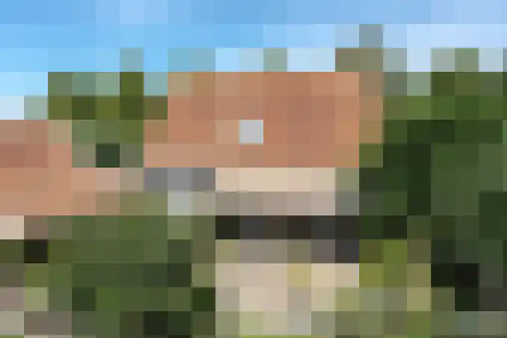 Strobbelhoekstraat 38 Ovezande thumbnail 94