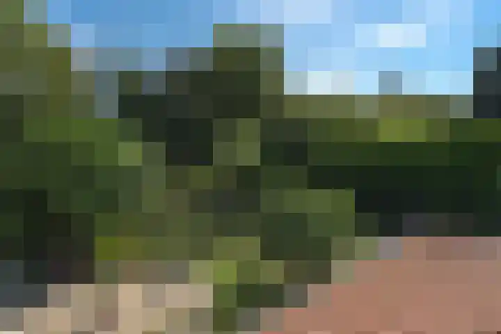 Strobbelhoekstraat 38 Ovezande thumbnail 97