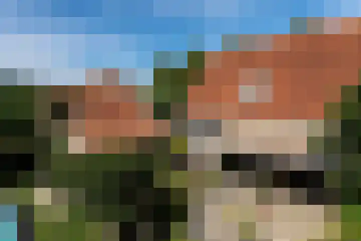Strobbelhoekstraat 38 Ovezande thumbnail 98
