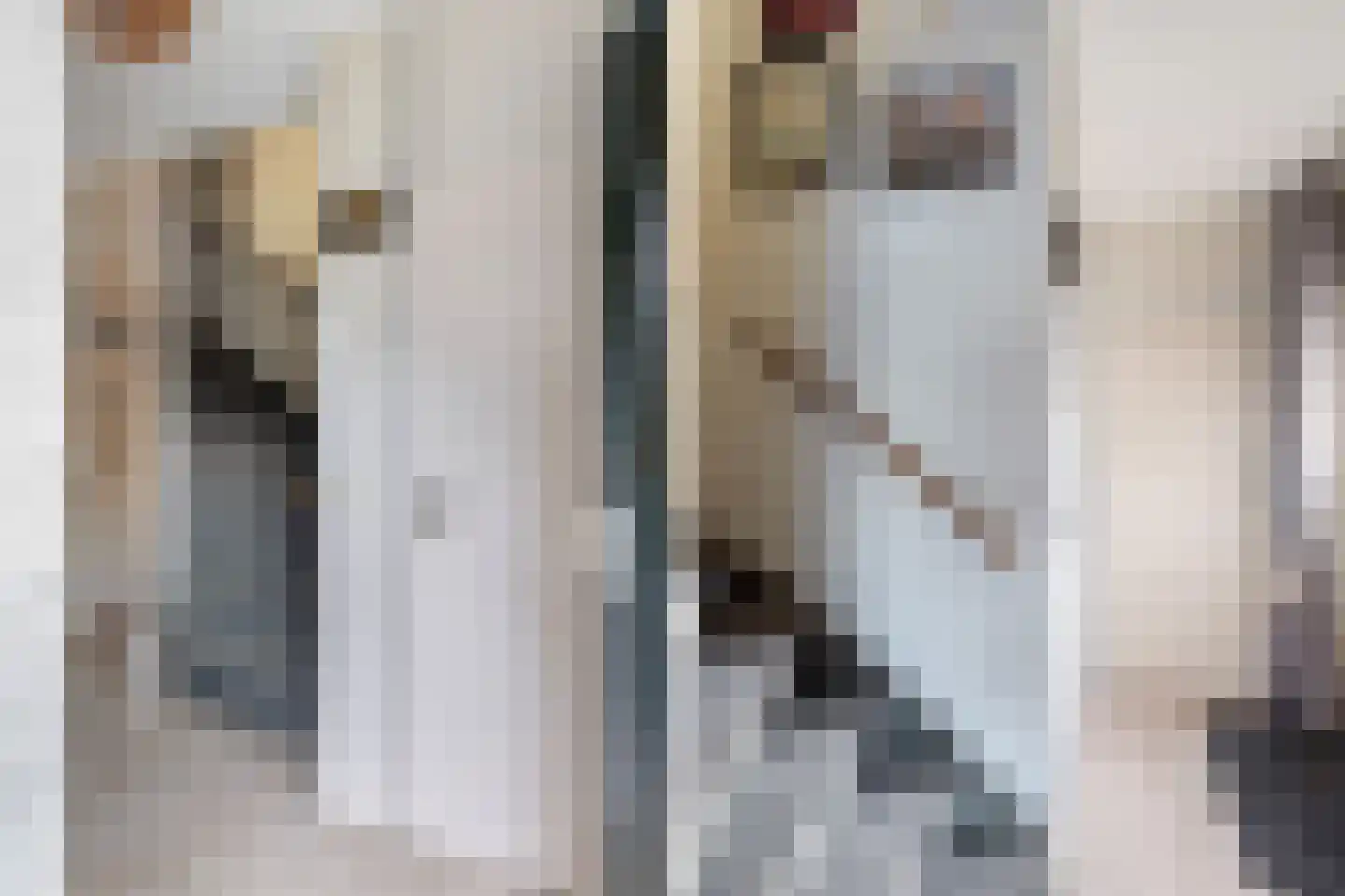 Strobenen-bogerd 20 Hendrik-Ido-Ambacht thumbnail 15