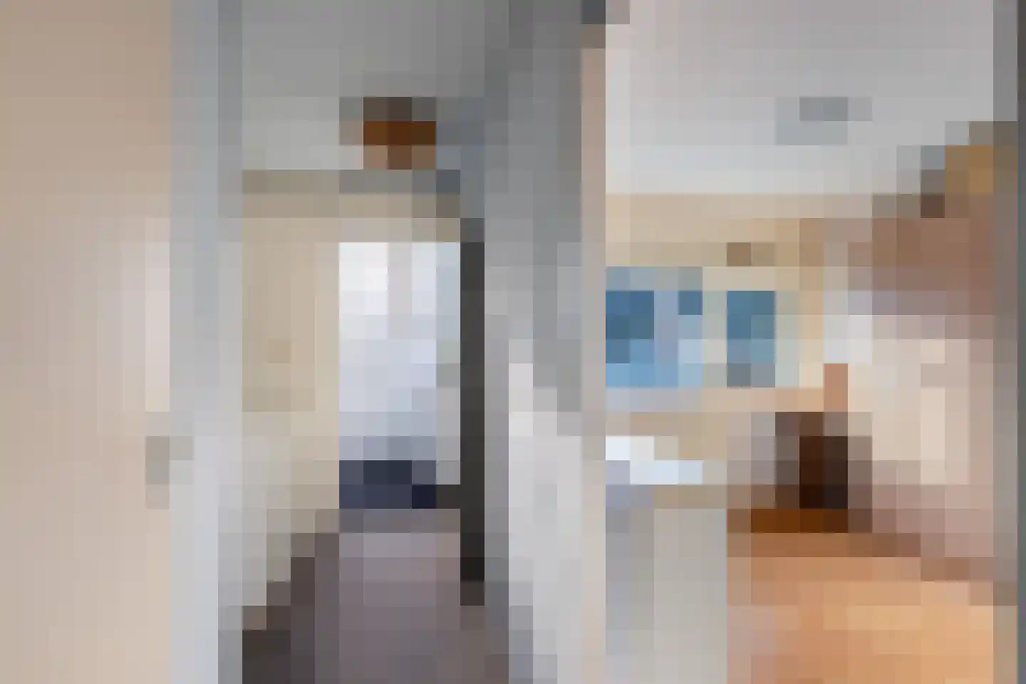 Strobenen-bogerd 20 Hendrik-Ido-Ambacht thumbnail 19