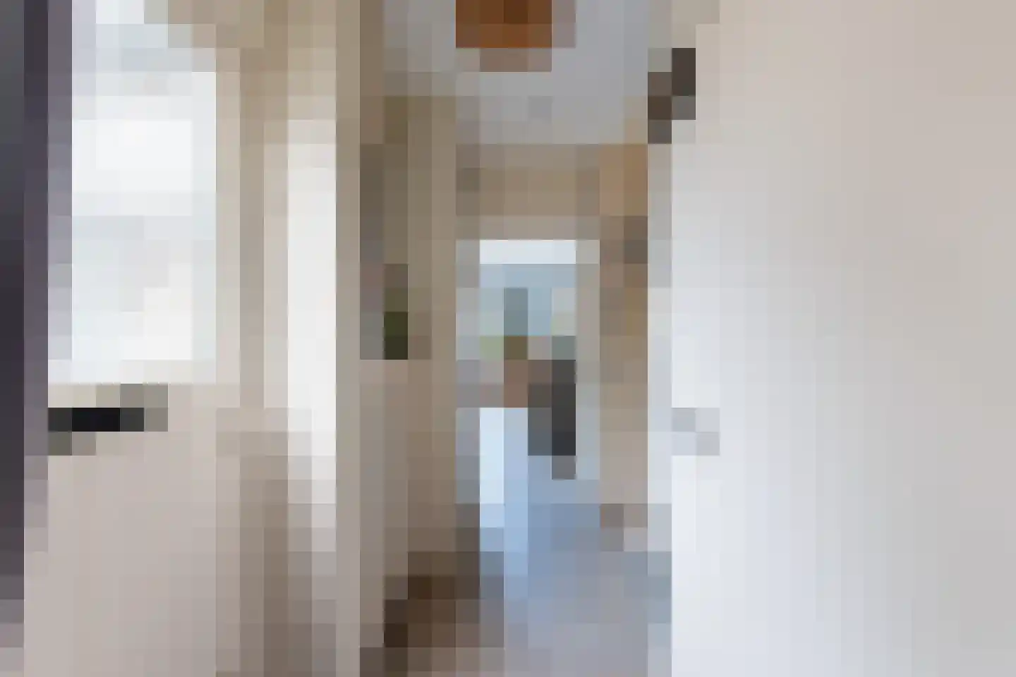 Strobenen-bogerd 20 Hendrik-Ido-Ambacht thumbnail 4