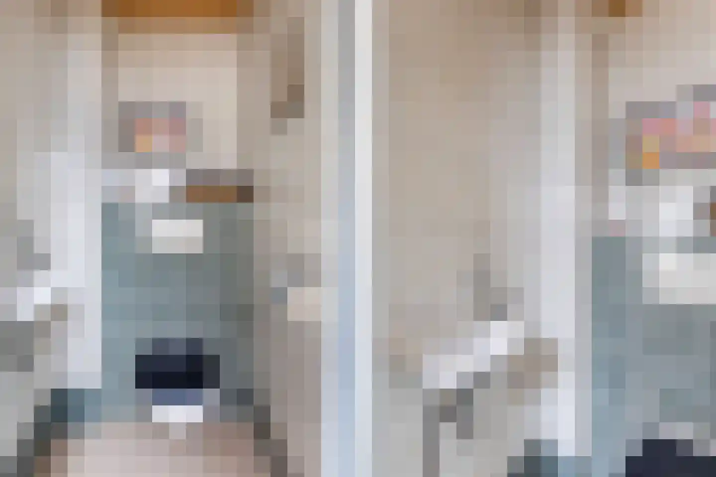 Strobenen-bogerd 20 Hendrik-Ido-Ambacht thumbnail 5