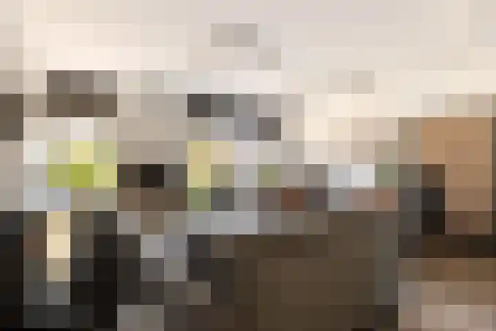 Strobenen-bogerd 38 Hendrik-Ido-Ambacht thumbnail 11