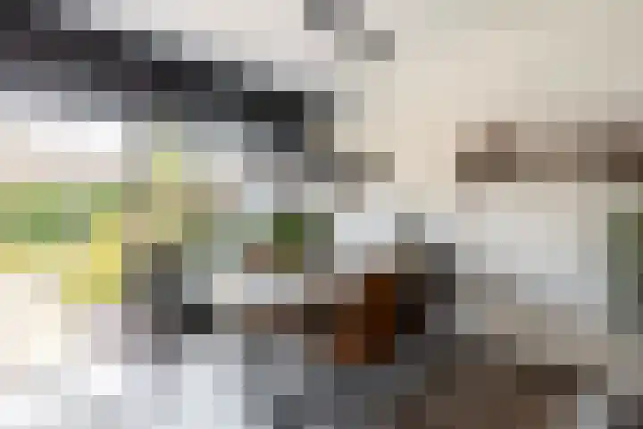 Strobenen-bogerd 38 Hendrik-Ido-Ambacht thumbnail 13