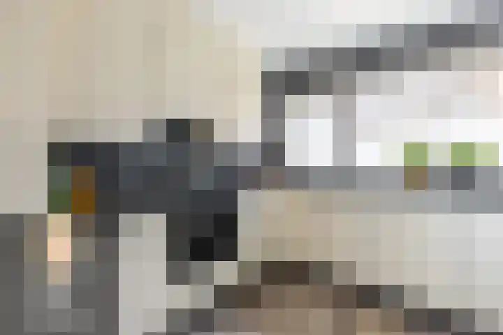 Strobenen-bogerd 38 Hendrik-Ido-Ambacht thumbnail 15