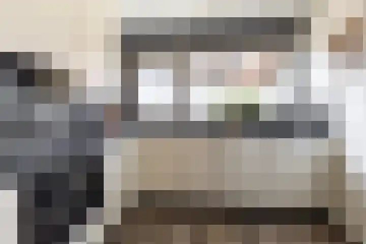 Strobenen-bogerd 38 Hendrik-Ido-Ambacht thumbnail 16