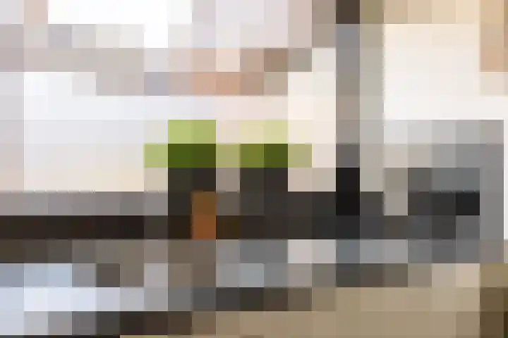 Strobenen-bogerd 38 Hendrik-Ido-Ambacht thumbnail 17