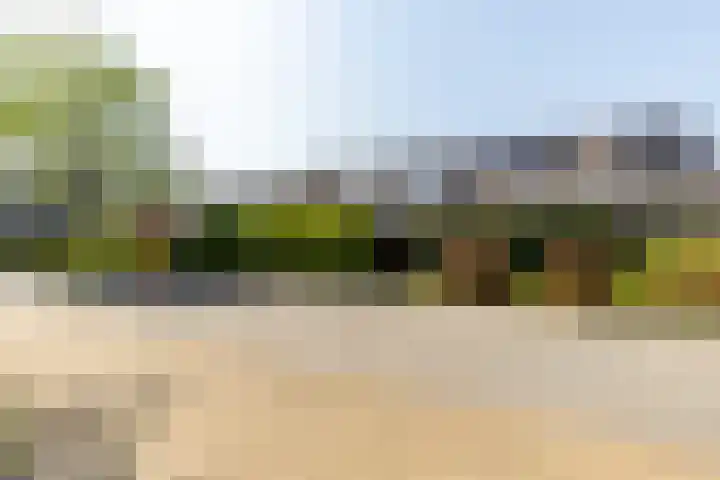 Strobenen-bogerd 38 Hendrik-Ido-Ambacht thumbnail 27
